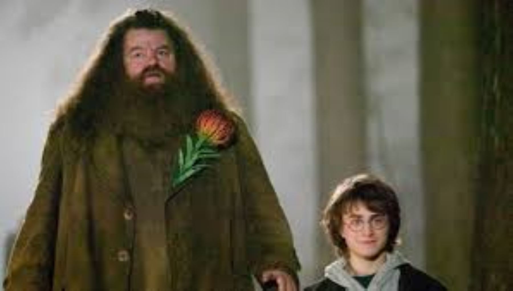 Robbie Coltrane se hizo famoso por su rol de "Hagrid" en Haeey Potter.