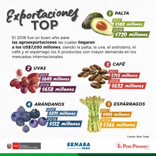 Las agroexportaciones peruanas representaron 7,030 millones de dólares americanos en 2018, siendo las paltas, uvas, café, arándanos y espárragos los cultivos de mayor demanda en los mercados internacionales, informó el Ministerio de Agricultura y Riego (Minagri).
