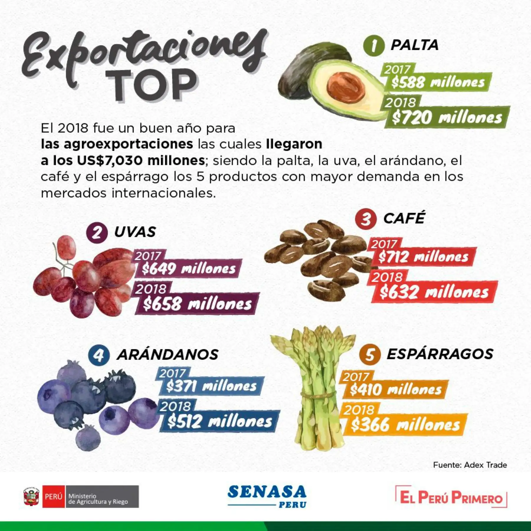 Las agroexportaciones peruanas representaron 7,030 millones de dólares americanos en 2018, siendo las paltas, uvas, café, arándanos y espárragos los cultivos de mayor demanda en los mercados internacionales, informó el Ministerio de Agricultura y Riego (Minagri).