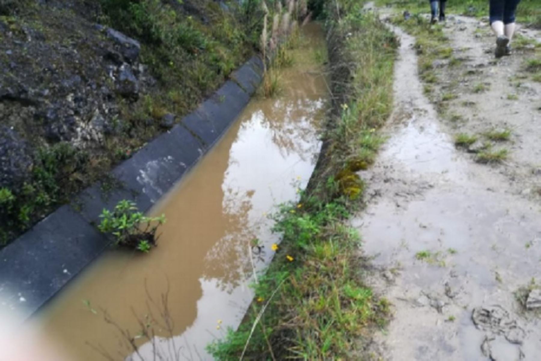 Las fuertes lluvias causaron un deslizamiento de tierra que produjo el desborde del canal de riego “Cendamal El Toro” y afectó cultivos de papa y habas en el caserío de Tahuan, distrito de Huasmín, provincia de Celendín, región Cajamarca, informó el Instituto Nacional de Defensa Civil (Indeci).
