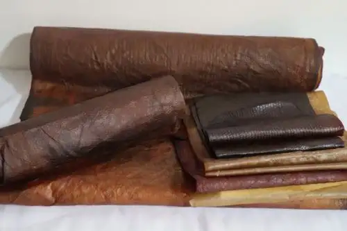 Investigadoras arequipeñas elaboran biocuero a base de microorganismos vivos. ANDINA/Difusión