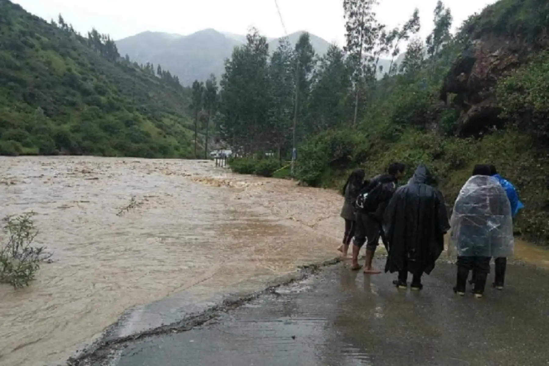 Se prevén acumulados de precipitaciones pluviales de alrededor de los 20 milímetros por día en la sierra norte y de 14 milímetros por día en la sierra centro y sur. Foto: ANDINA/Difusión