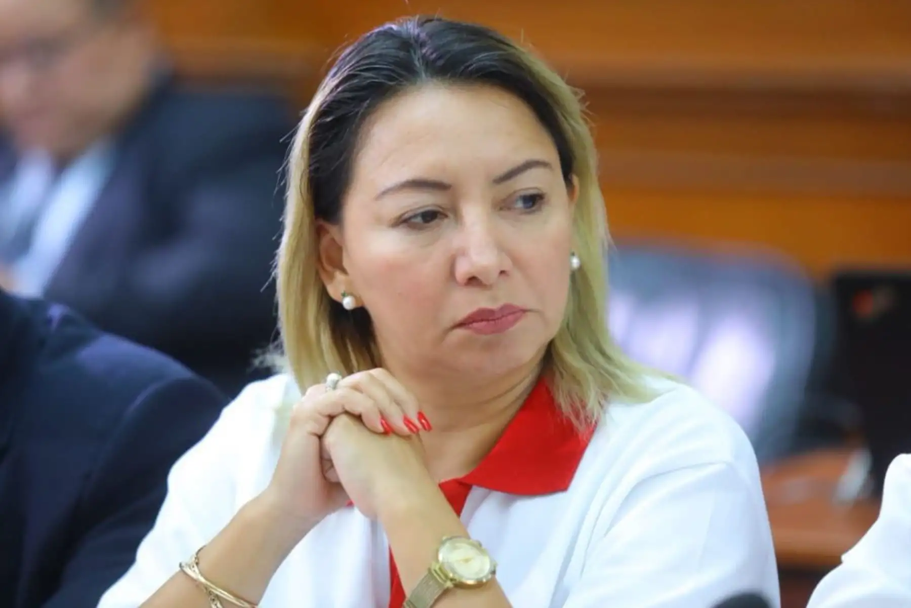 ANDINA/Difusión