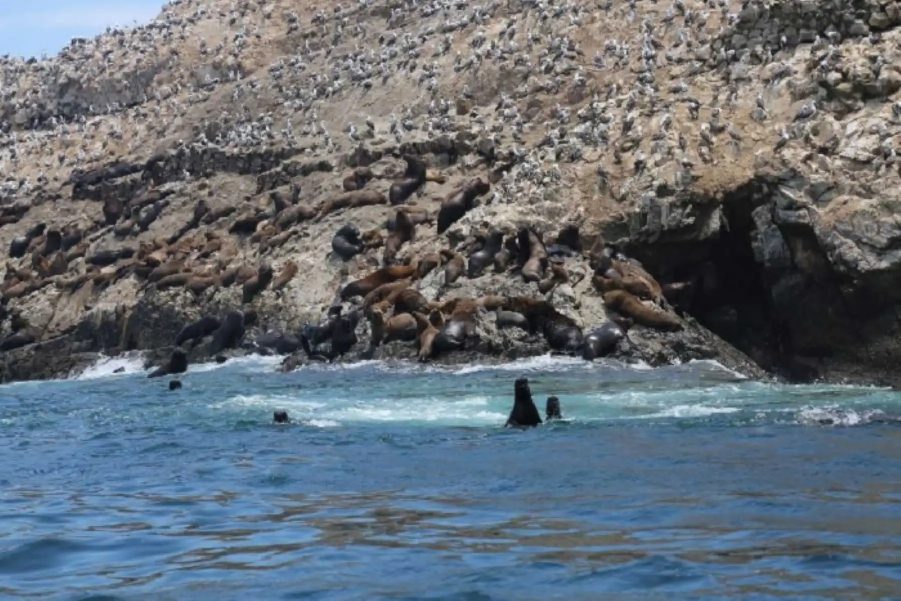 En La Libertad, el Servicio Nacional de Áreas Naturales Protegidas por el Estado (Sernanp), Ministerio de Comercio Exterior y Turismos (Mincetur), gobierno regional, Municipalidad Distrital de Virú y los operadores turísticos lanzaron oficialmente el sector Islas Guañape, conocida también por sus atractivos y belleza paisajística como “la nueva joya de la naturaleza”.