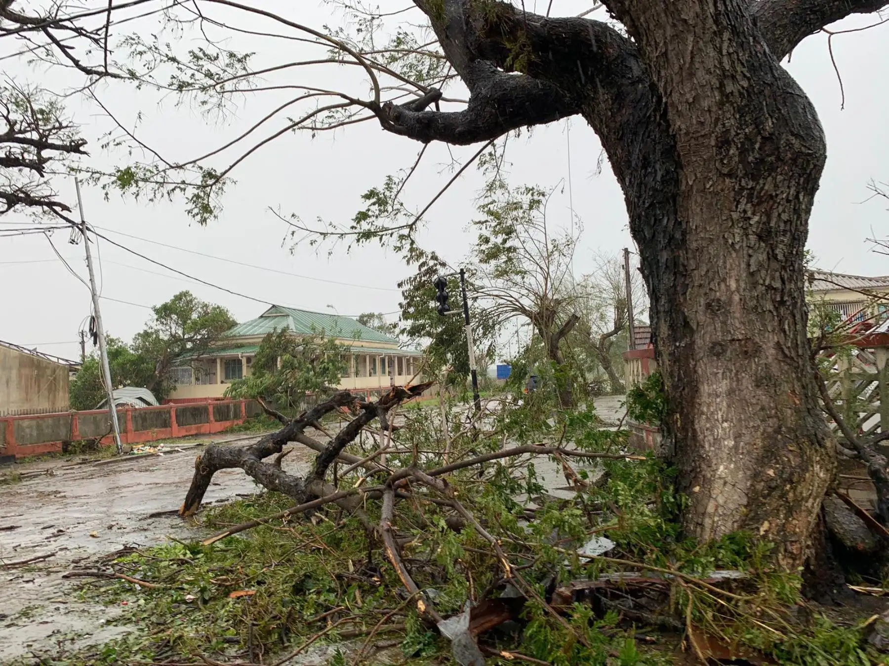 Los fuertes vientos y las lluvias torrenciales han provocado daños en las zonas montañosas de Zimbabwe y Mozambique, donde se encuentran la mayoría de los afectados. Foto: AFP
