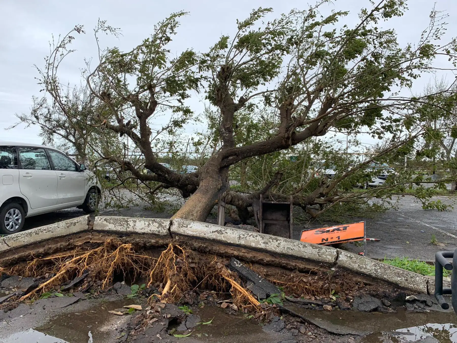 Los fuertes vientos y las lluvias torrenciales han provocado daños en las zonas montañosas de Zimbabwe y Mozambique, donde se encuentran la mayoría de los afectados. Foto: AFP