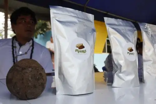 Indígenas de Madre de Dios exportarán castaña con marca Morikke. Foto: ANDINA/Difusión.