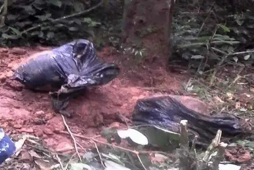 El cuerpo descuartizado de Betty Pérez Camaña (26), víctima de feminicidio, fue hallado por las autoridades enterrado en una chacra de café de la comunidad nativa alto San Juan del distrito de Perené, en la provincia de Chanchamayo, en Junín.
