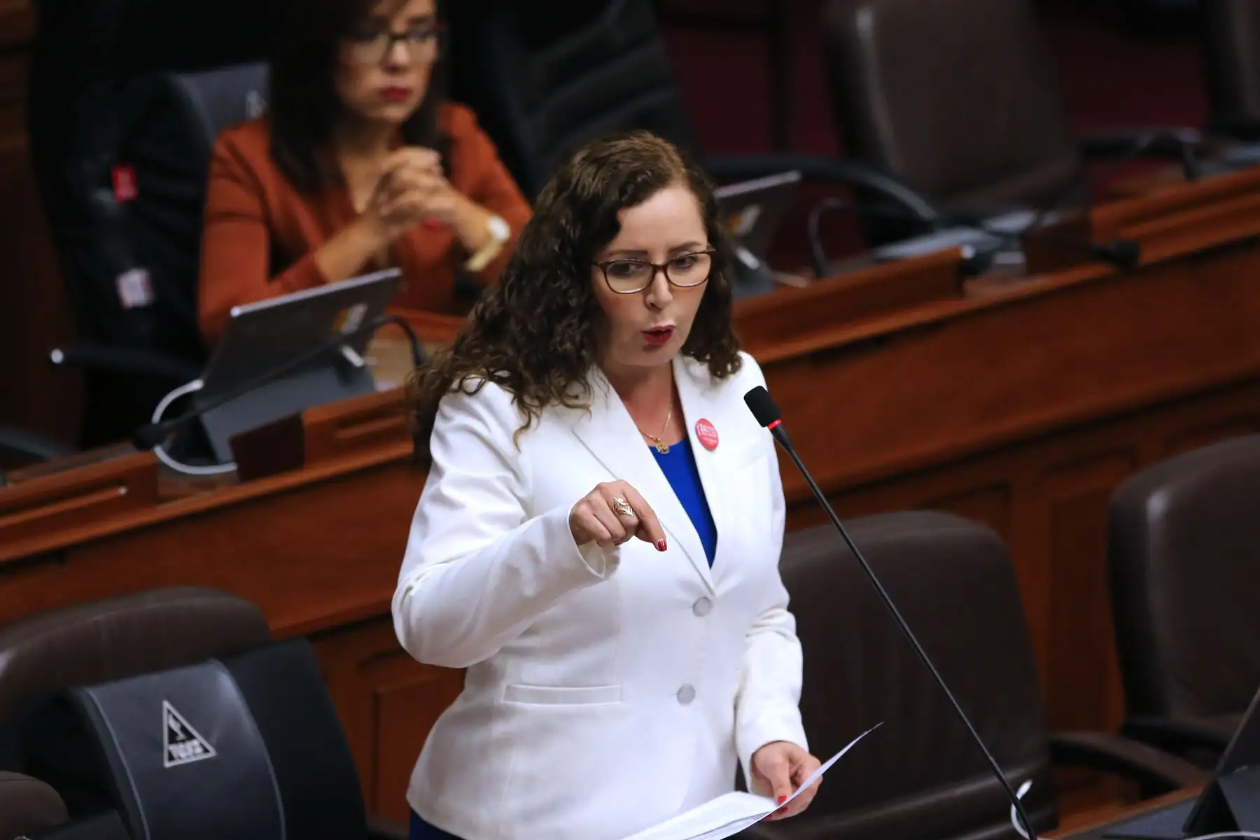 Foto: ANDINA/Vidal Tarqui.