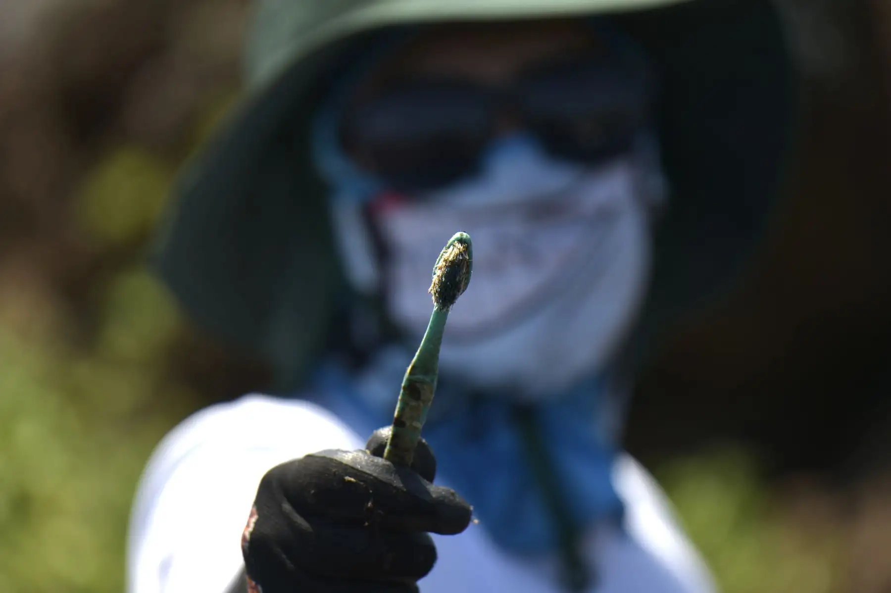 Un voluntario muestra un cepillo de dientes recolectado en la costa de la isla Isabela en el archipiélago de Galápagos en el Océano Pacífico, a 1000 km de la costa de Ecuador.Foto:AFP