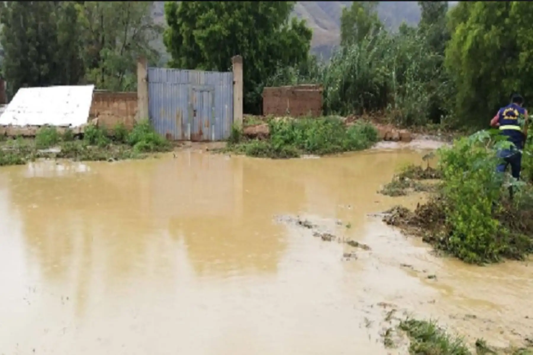 Personal de Defensa Civil de la Municipalidad Distrital de Amarilis, en la provincia de Huánuco, viene atendiendo la emergencia en la zona de Jancao, La Esperanza, donde al menos 10 viviendas se inundaron tras el desborde del río, y una de ellas colapsó.