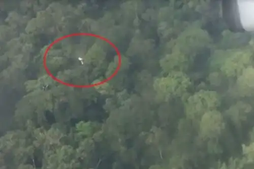 Un equipo de la Fuerza Aérea del Perú avistó restos de una aeronave durante la búsqueda de Cessna 206 extraviado en la región Loreto. Foto: RPP