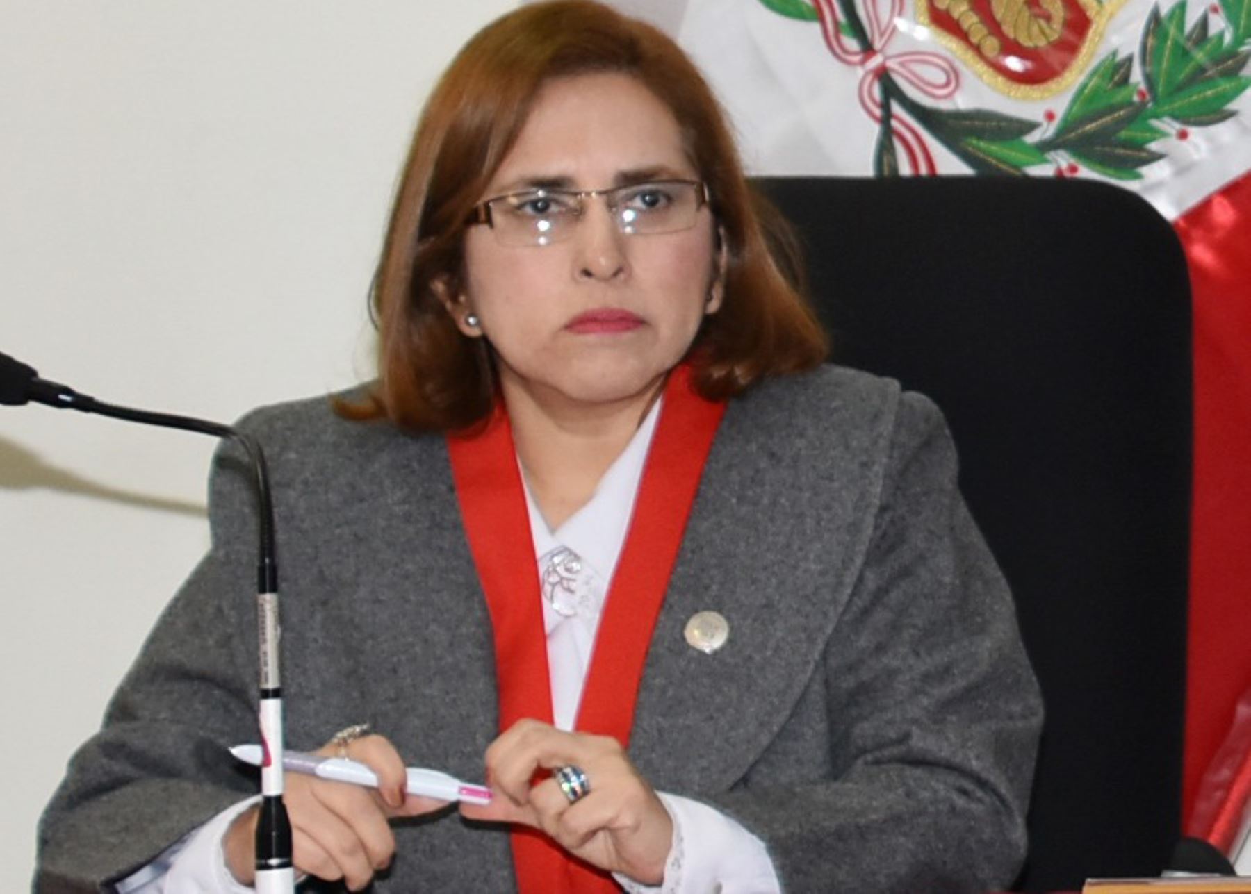 Jueza Sonia Torre Muñoz expuso ante la OEA en Washington D.C.
