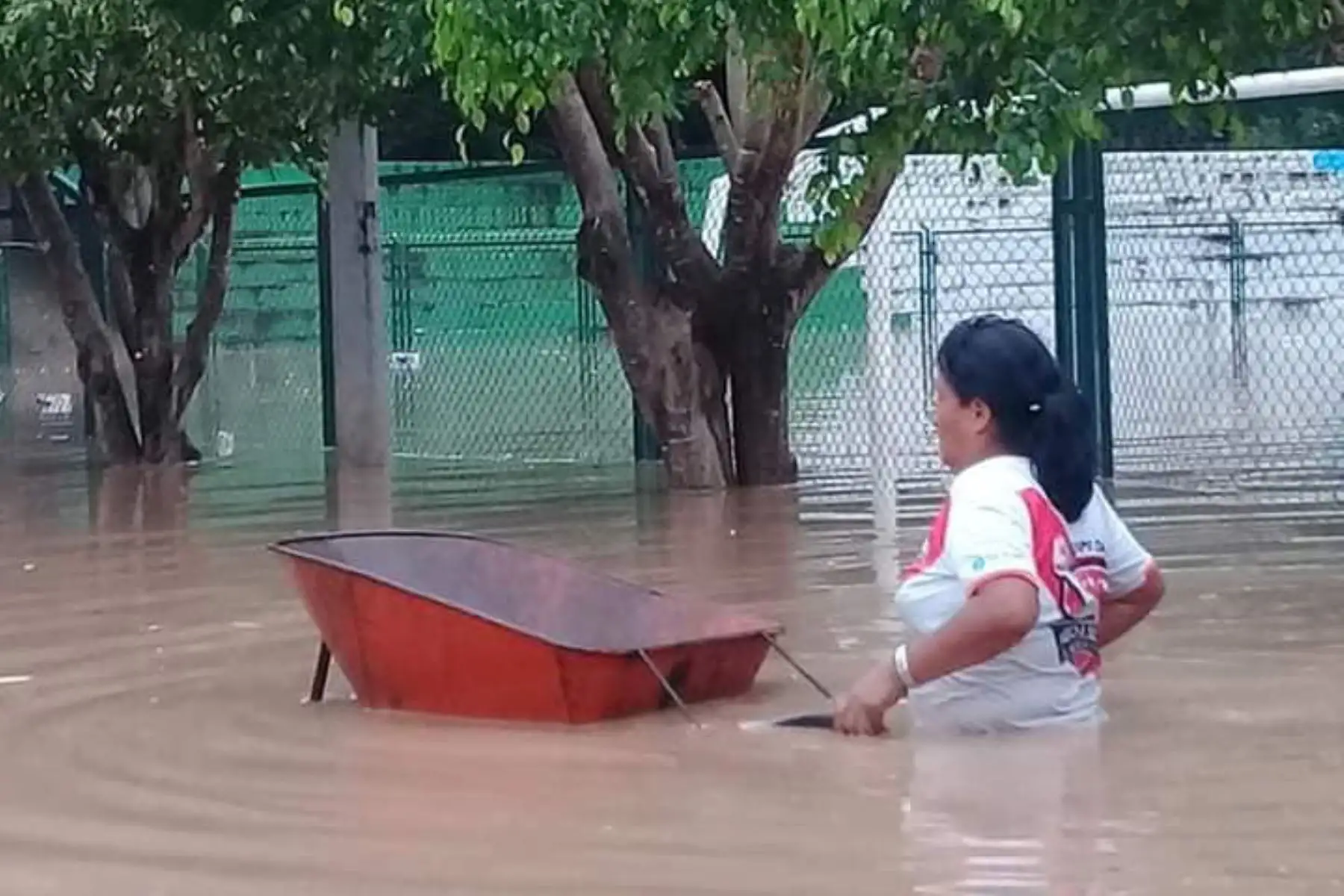 El desborde del río Perené provocó la inundación de viviendas ubicadas en las inmediaciones del puente Noruega, en el distrito de Perené, provincia de Chanchamayo.