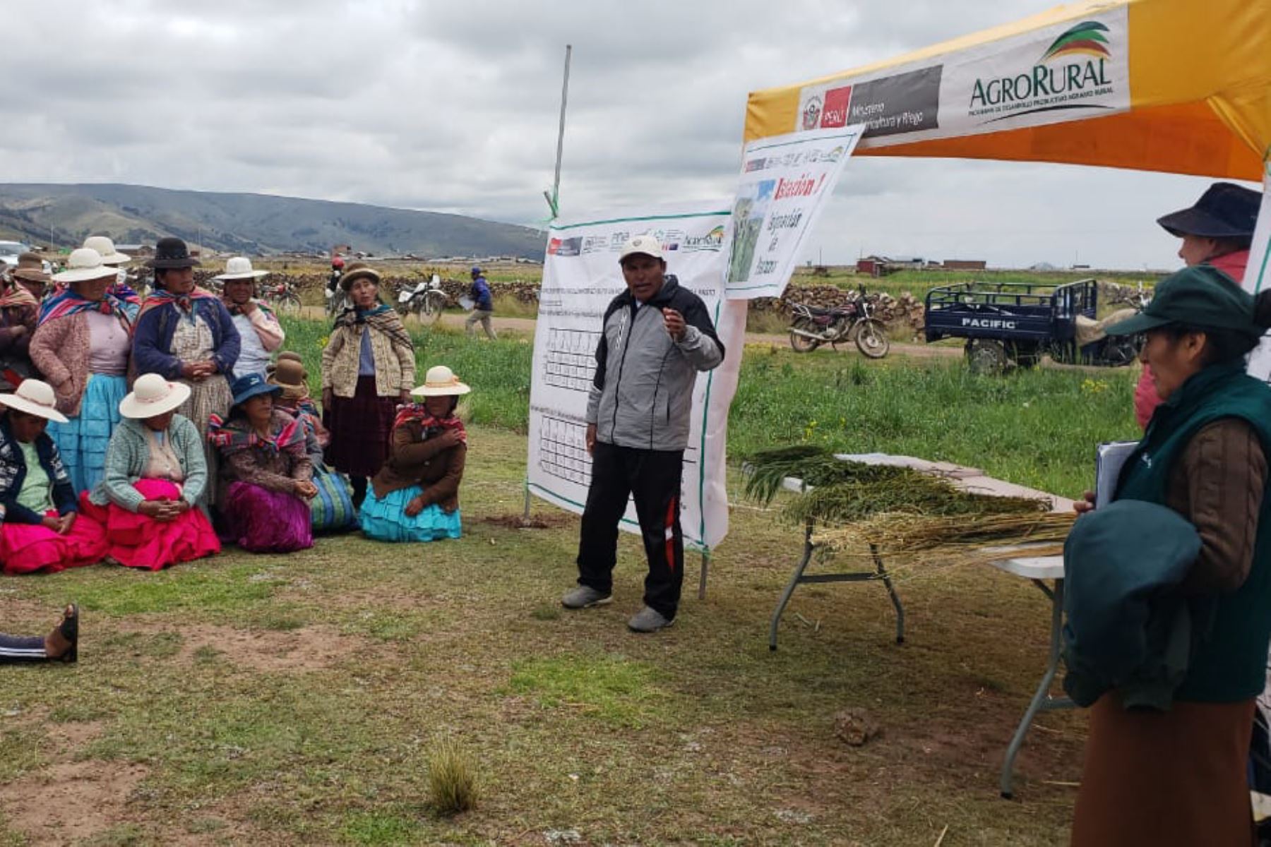 Minagri fortalece capacidades productivas de pequeños productores de ganado lechero en Puno