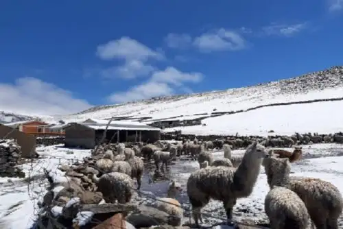 En la presente estación de otoño y en este mes de abril, la característica de la sierra será la mayor presencia de nevadas en algunos momentos y también el descenso de temperatura, predominado el cielo despejado; mientras la ocurrencia de lluvias irá disminuyendo.