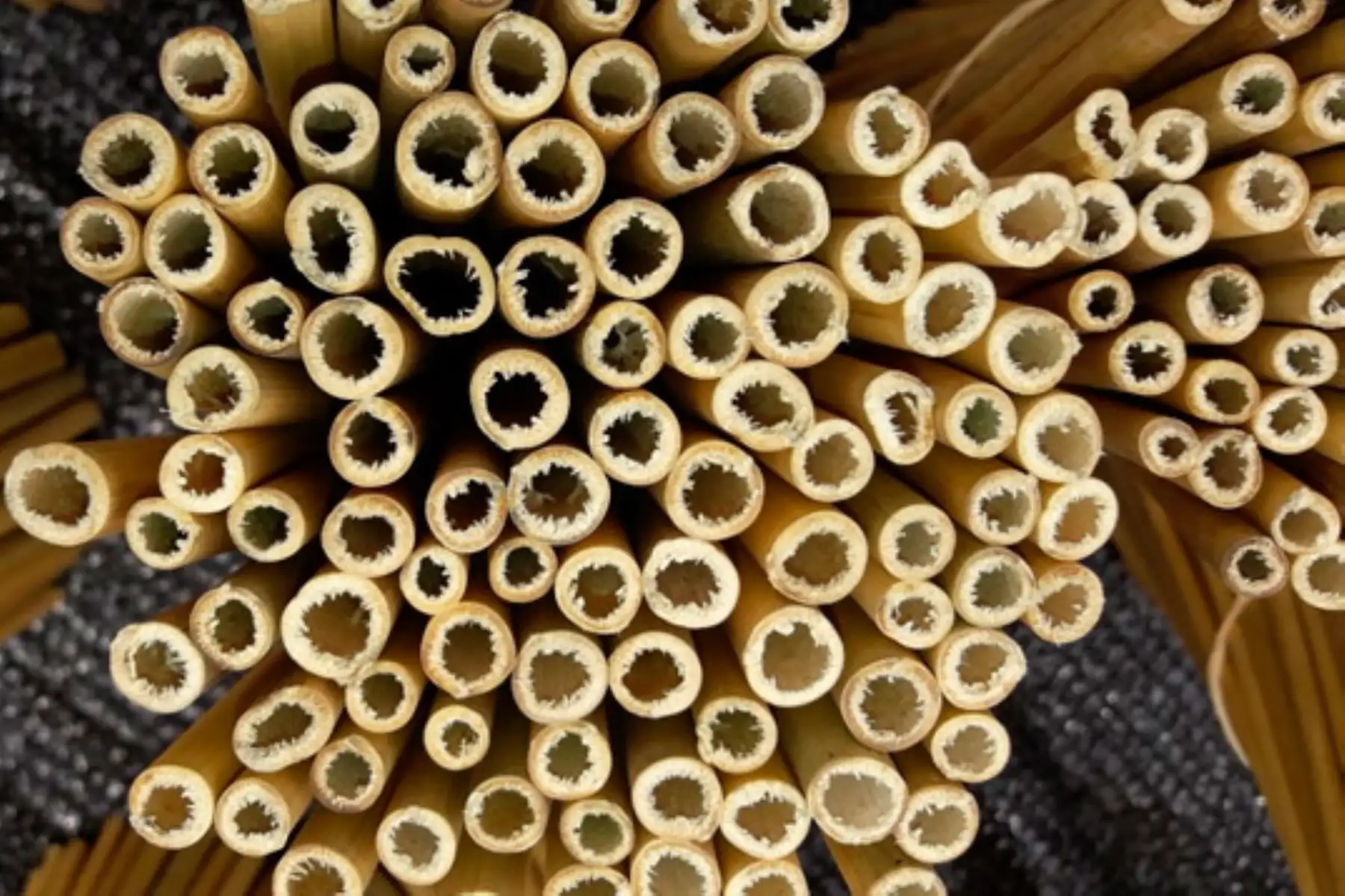 Agricultores de Monzón, en Huánuco, innovan con la elaboración de cañitas biodegradables de bambú. ANDINA/Difusión