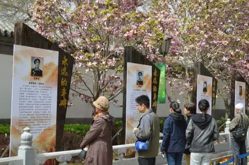 Festival del Qingming, homenaje a los difuntos en China. Foto: Víctor Véliz.