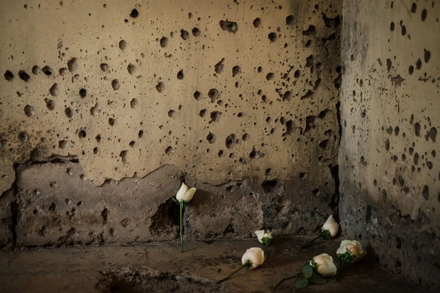Flores colocadas por parientes de los 10 pacificadores de la ONU belgas que protegían al primer ministro ruandés y murieron durante el genocidio de 1994. Foto: AFP