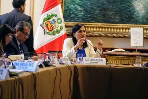Ministra se presentó en Comisión de Educación, Cultura y Deporte del Congreso. Foto: Minedu
