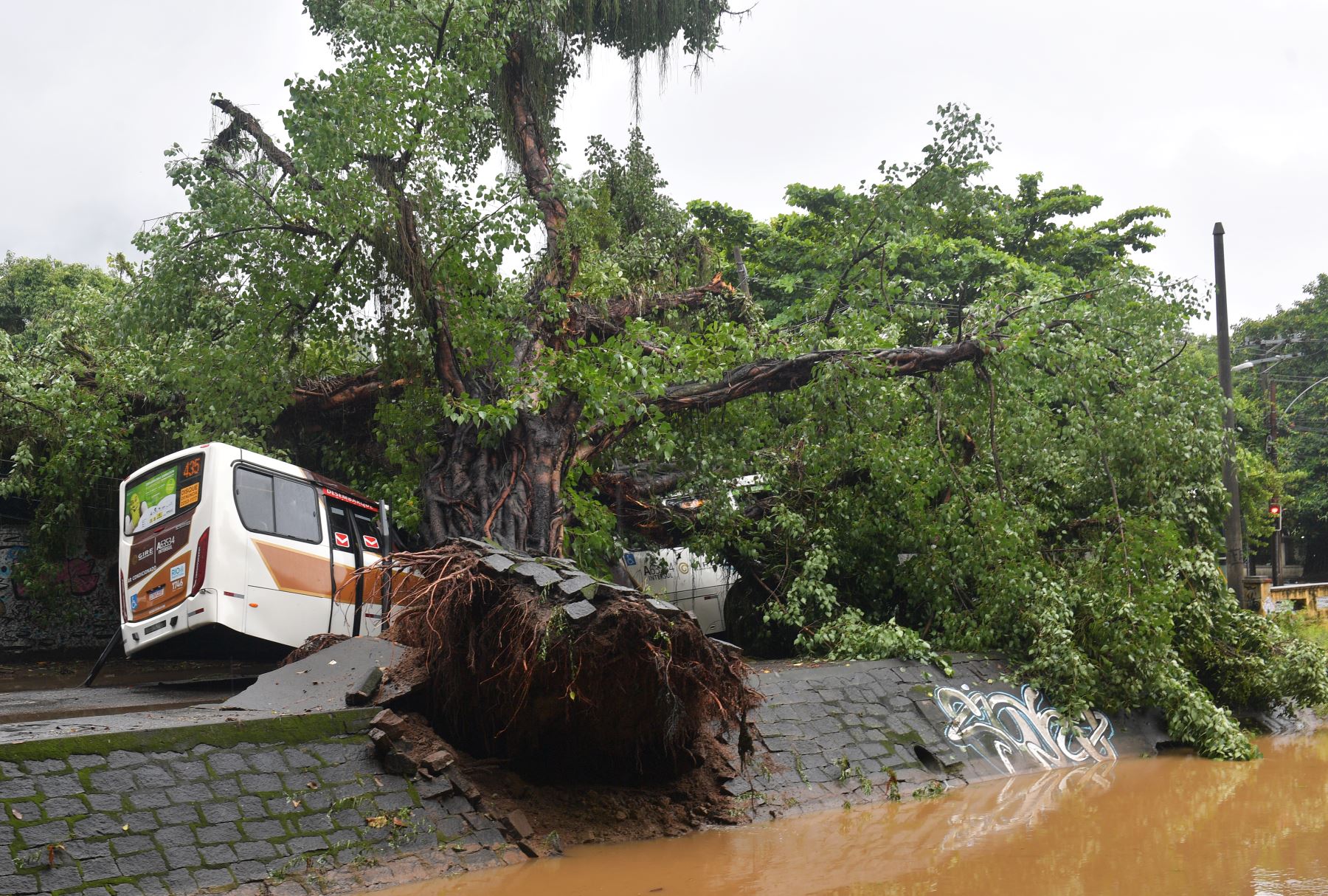 Un autobús quedó debajo de un árbol después de una fuerte lluvia que inundó partes de Río de Janeiro, Brasil. Foto: AFP
