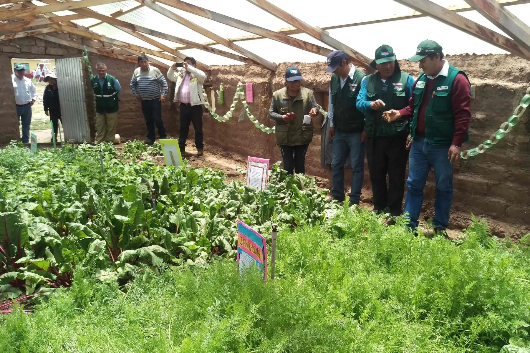 Emplearán tecnología para cultivar hortalizas y frutas en zonas afectadas por heladas. ANDINA/Difusión