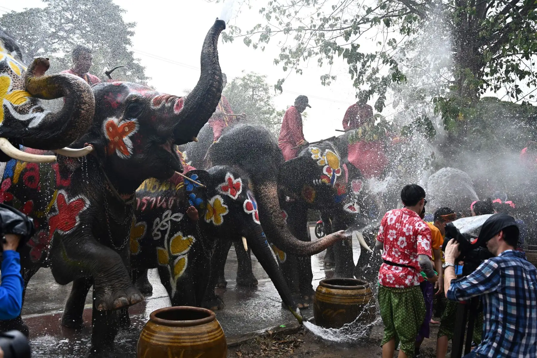 Elefantes y público se salpican agua unos a otros durante una ceremonia para celebrar el Año Nuevo Budista en Thailandia. Foto: AFP