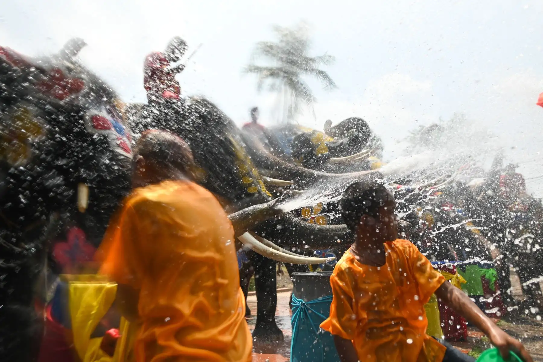 Elefantes y público se salpican agua unos a otros durante una ceremonia para celebrar el Año Nuevo Budista en Thailandia. Foto: AFP