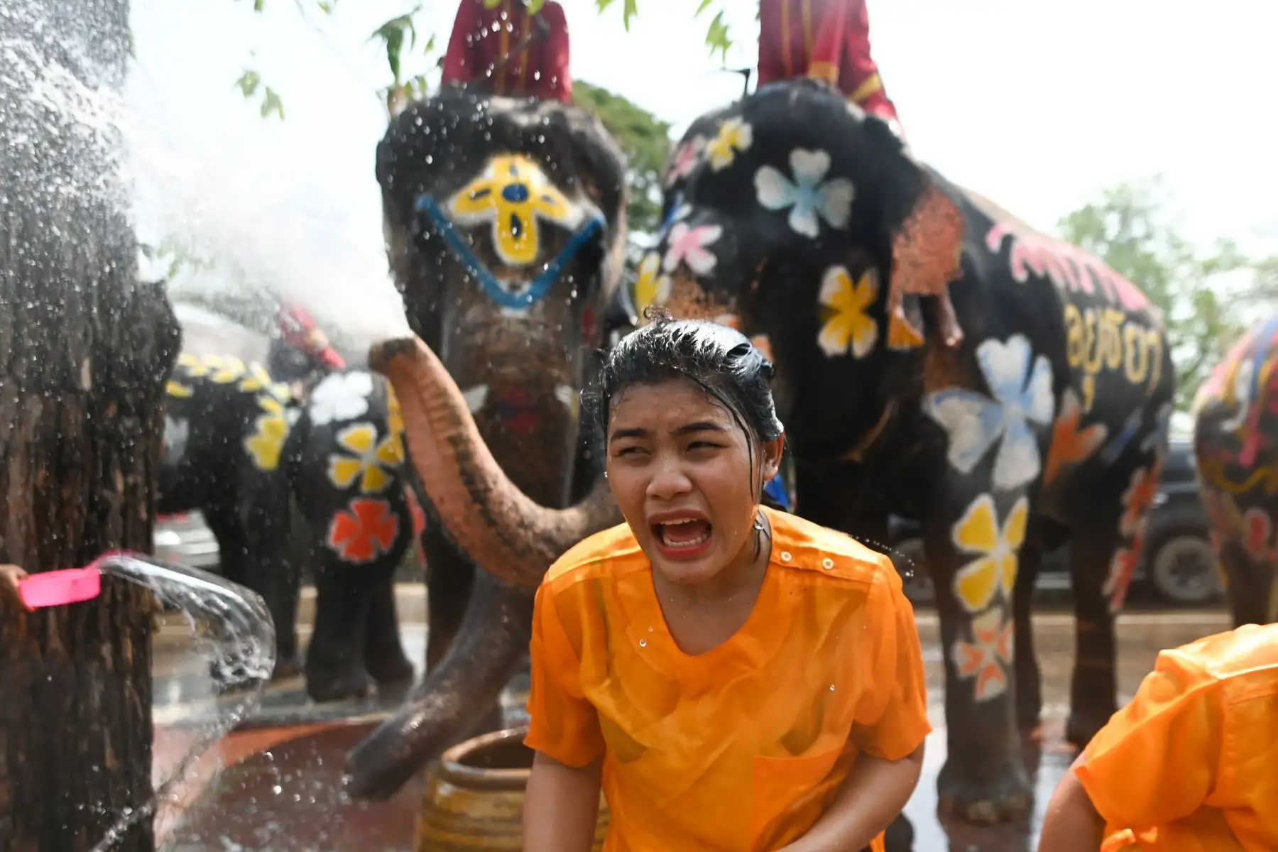 Elefantes y público se salpican agua unos a otros durante una ceremonia para celebrar el Año Nuevo Budista en Thailandia. Foto: AFP
