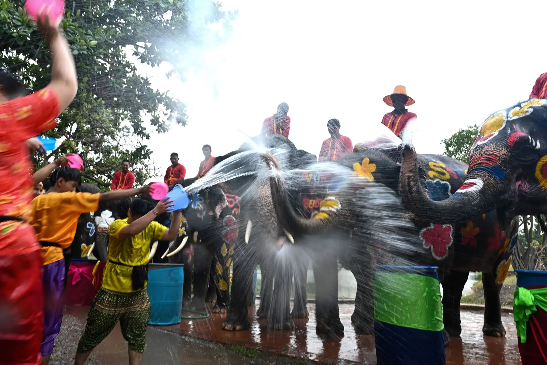 Elefantes y público se salpican agua unos a otros durante una ceremonia para celebrar el Año Nuevo Budista en Thailandia. Foto: AFP