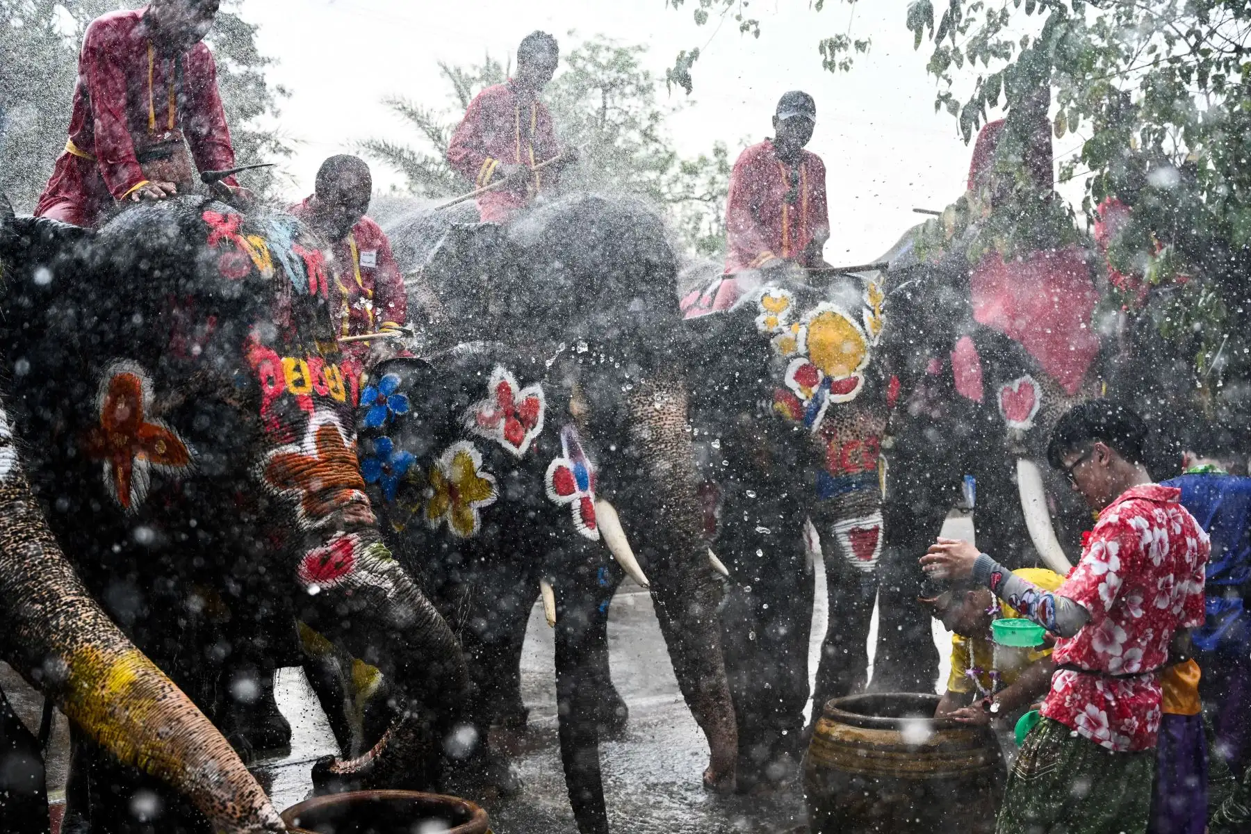 Elefantes y público se salpican agua unos a otros durante una ceremonia para celebrar el Año Nuevo Budista en Thailandia. Foto: AFP