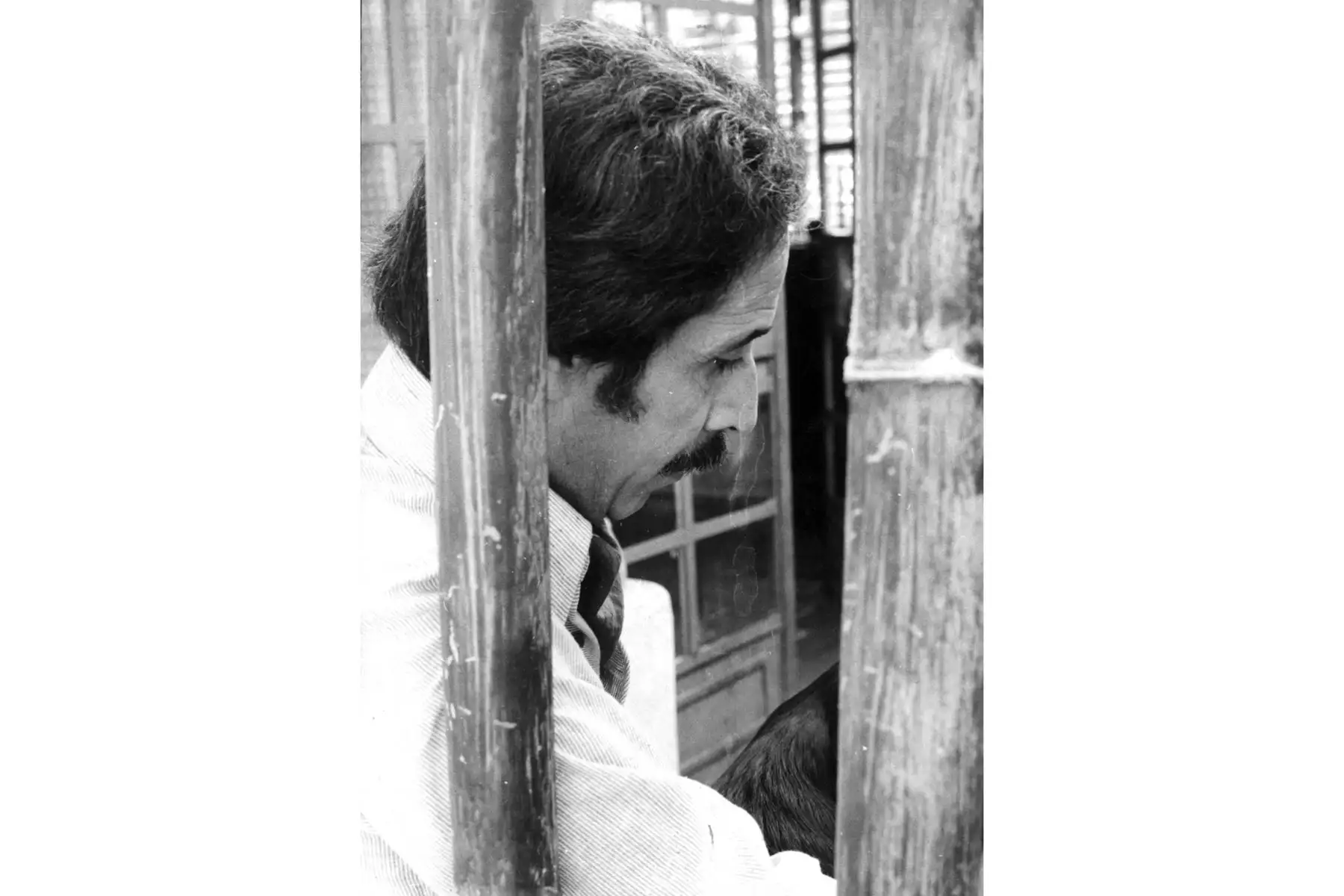 "La belleza, toda forma de belleza, es también una manifestación de lo sagrado”,Jorge Eduardo Eielson.
Foto:Archivo el diario el Peruano