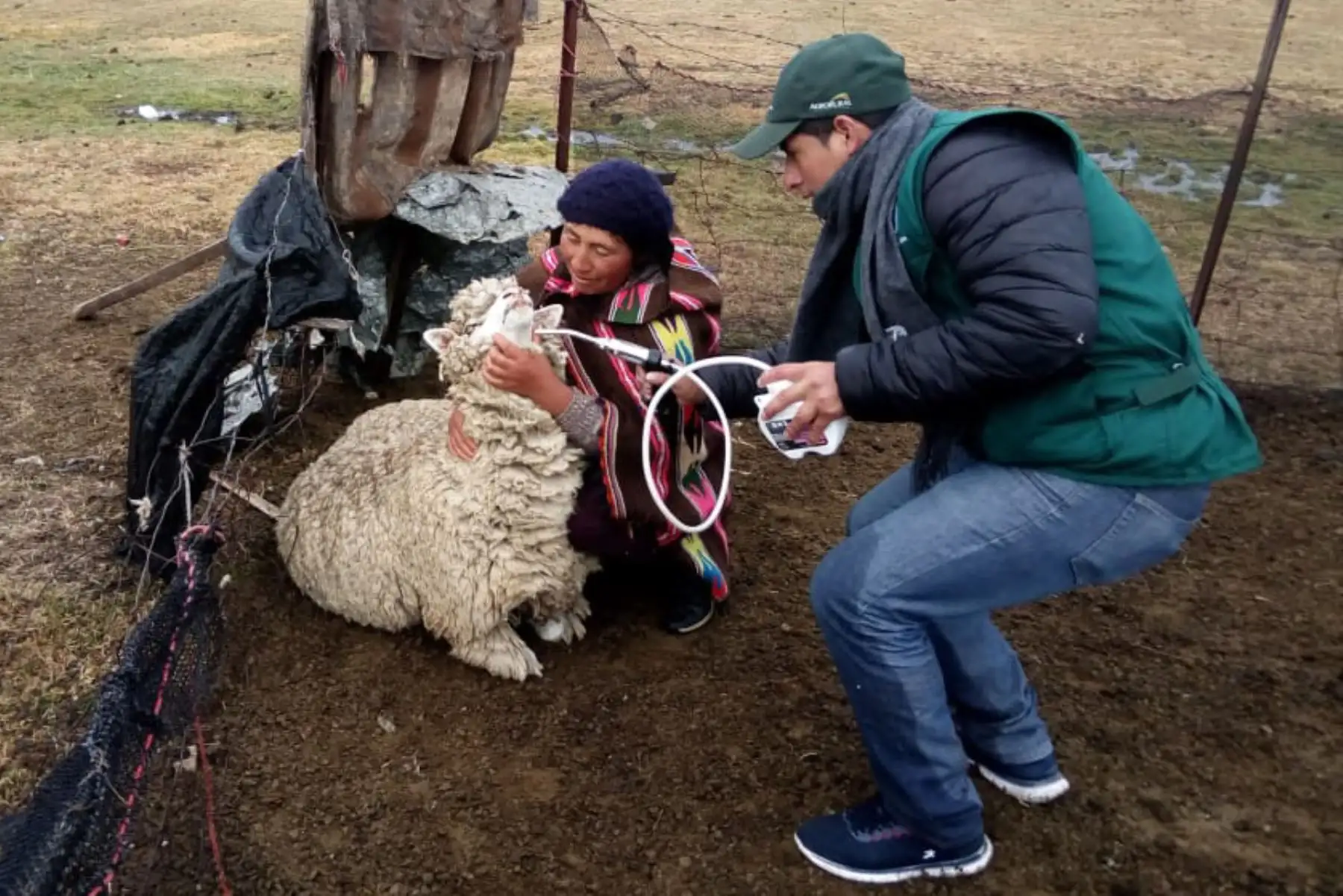 Pobladores dedicados a las diferentes actividades agropecuarias, pertenecientes a 35 organizaciones comunales de las provincias de Chupaca, Concepción, Huancayo, Jauja, Junín, Tarma y Yauli, serán atendidos oportunamente por el Ministerio de Agricultura y Riego (Minagri), con la entrega de kits de insumos agrícolas y pecuarios para reducir los impactos negativos de las heladas.