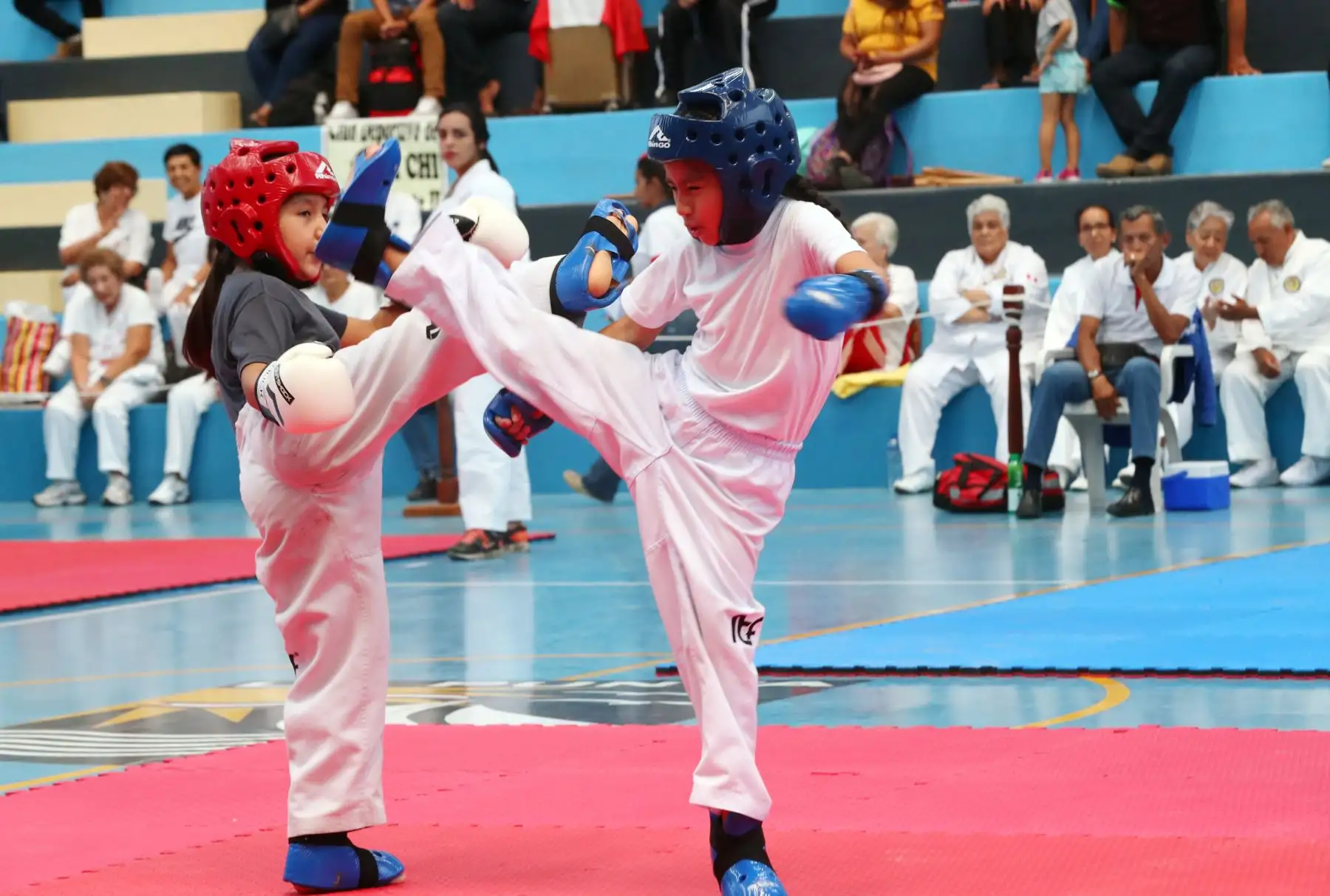3er Campeonato Panamericano de Artes Marciales  OMAM .Foto: ANDINA/Norman Córdova