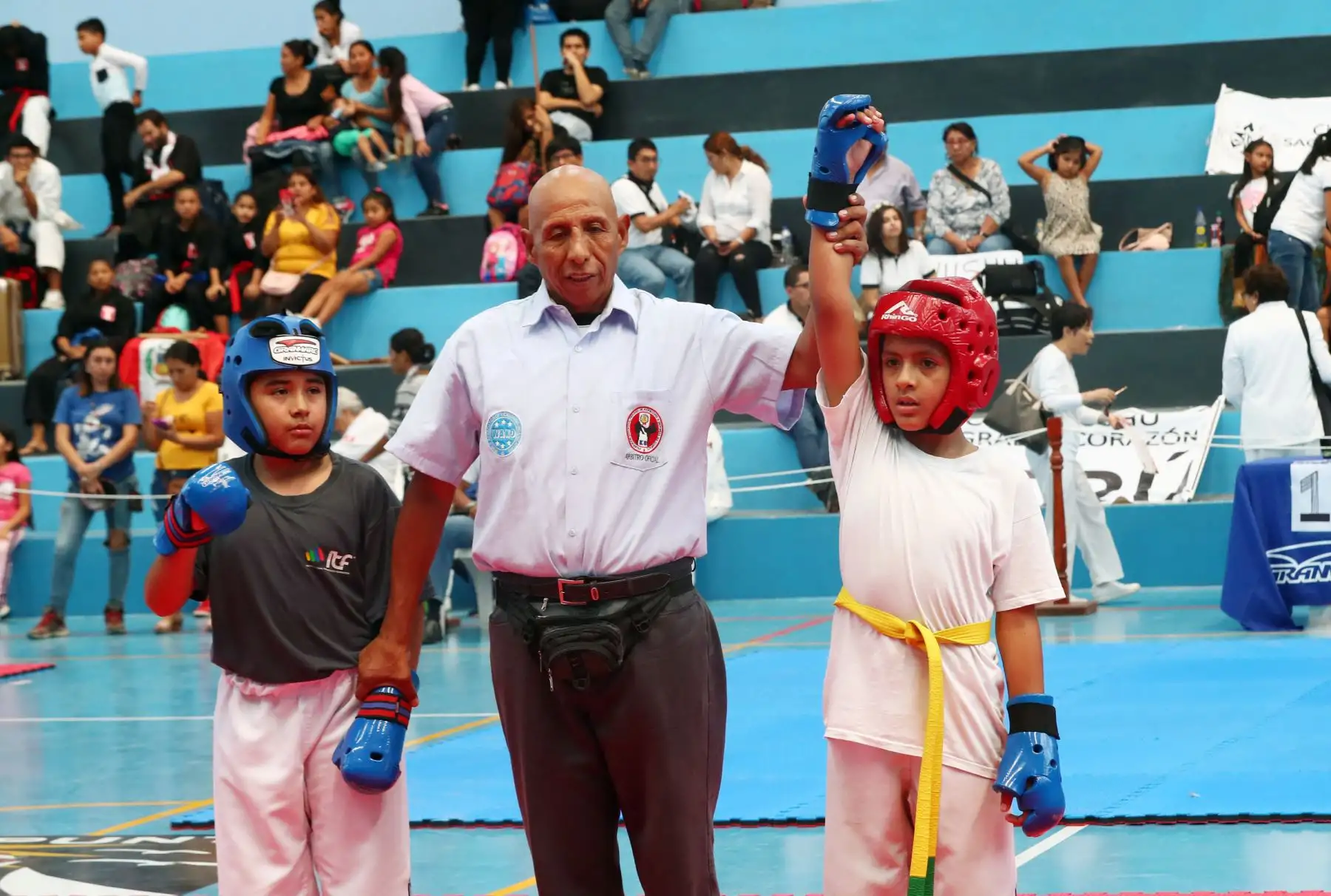 3er Campeonato Panamericano de Artes Marciales  OMAM .Foto: ANDINA/Norman Córdova