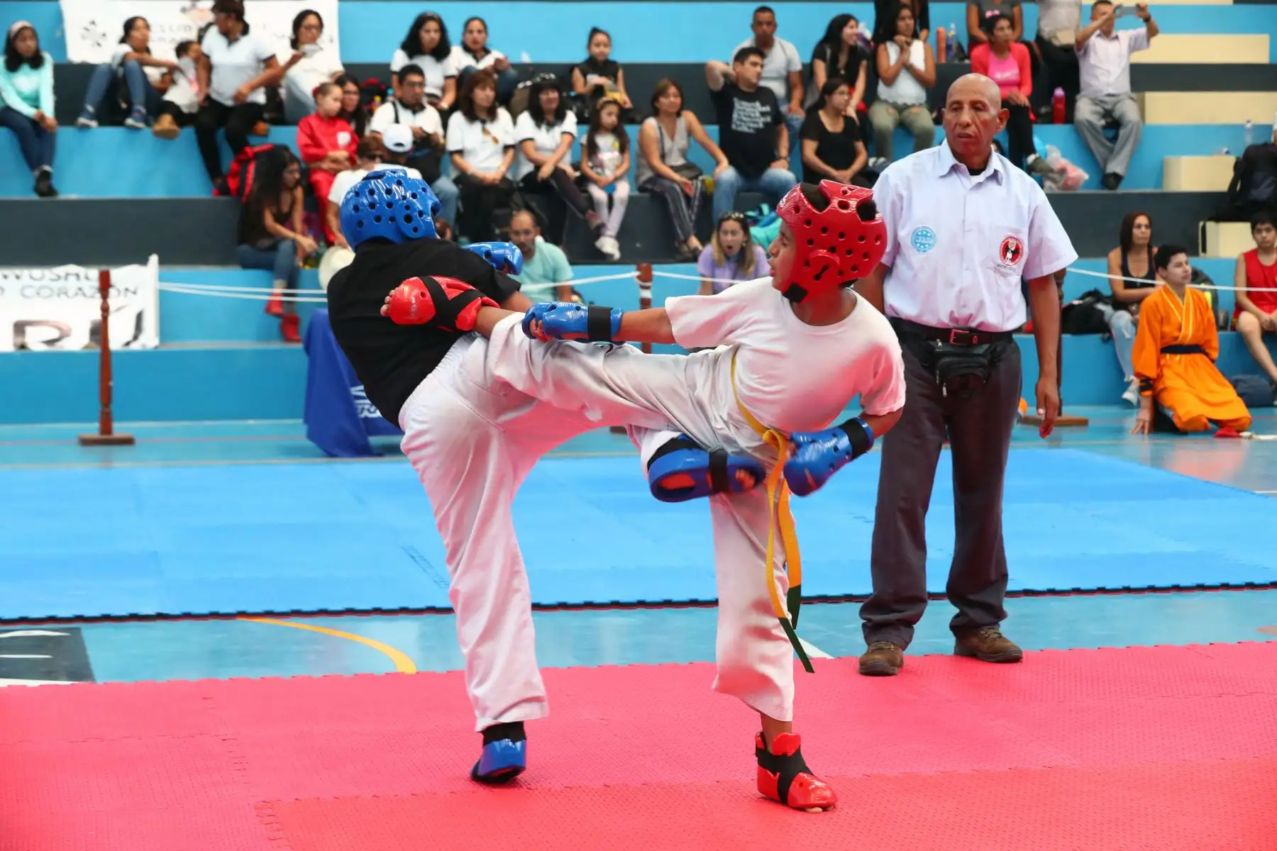 3er Campeonato Panamericano de Artes Marciales  OMAM .Foto: ANDINA/Norman Córdova