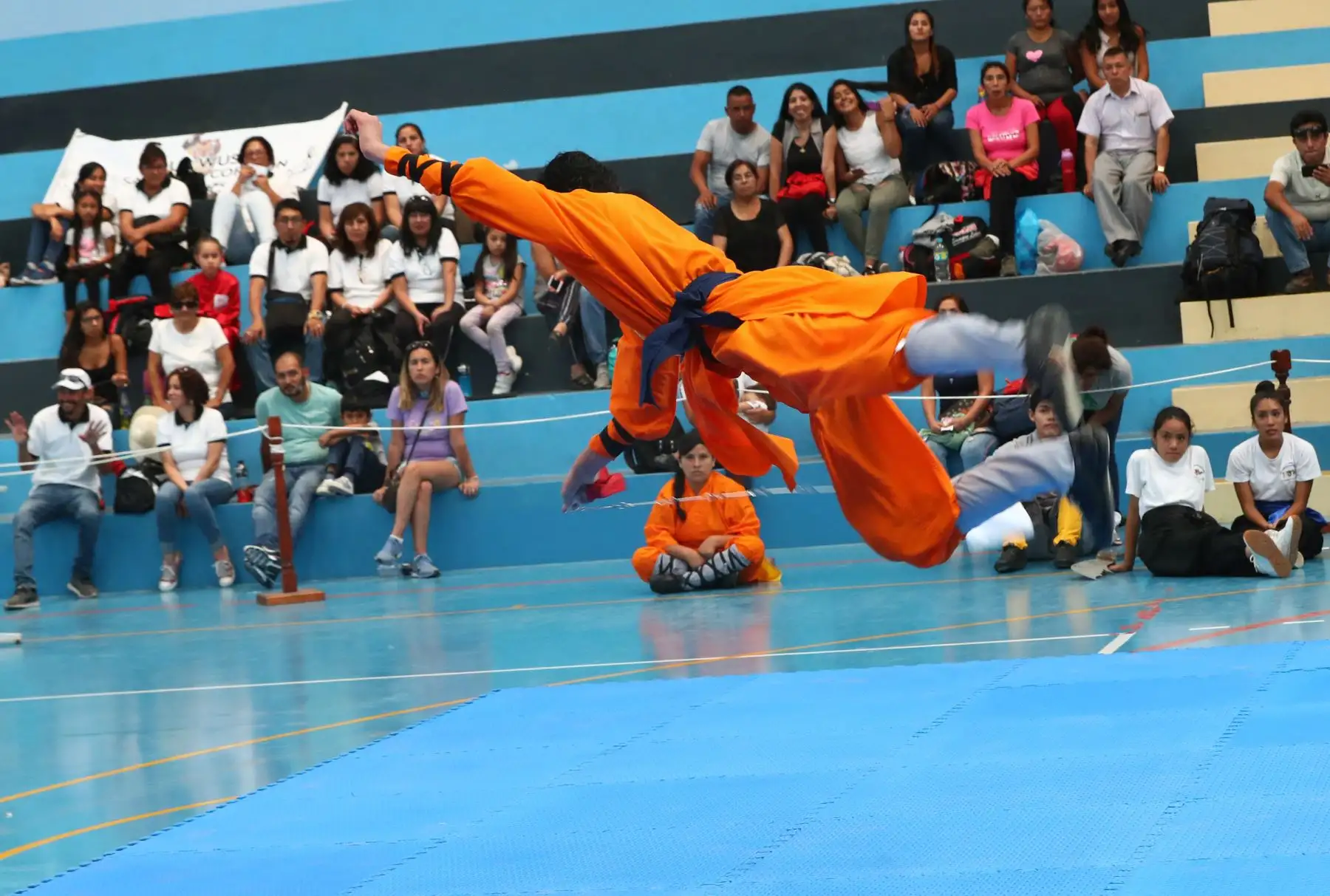 3er Campeonato Panamericano de Artes Marciales  OMAM .Foto: ANDINA/Norman Córdova
