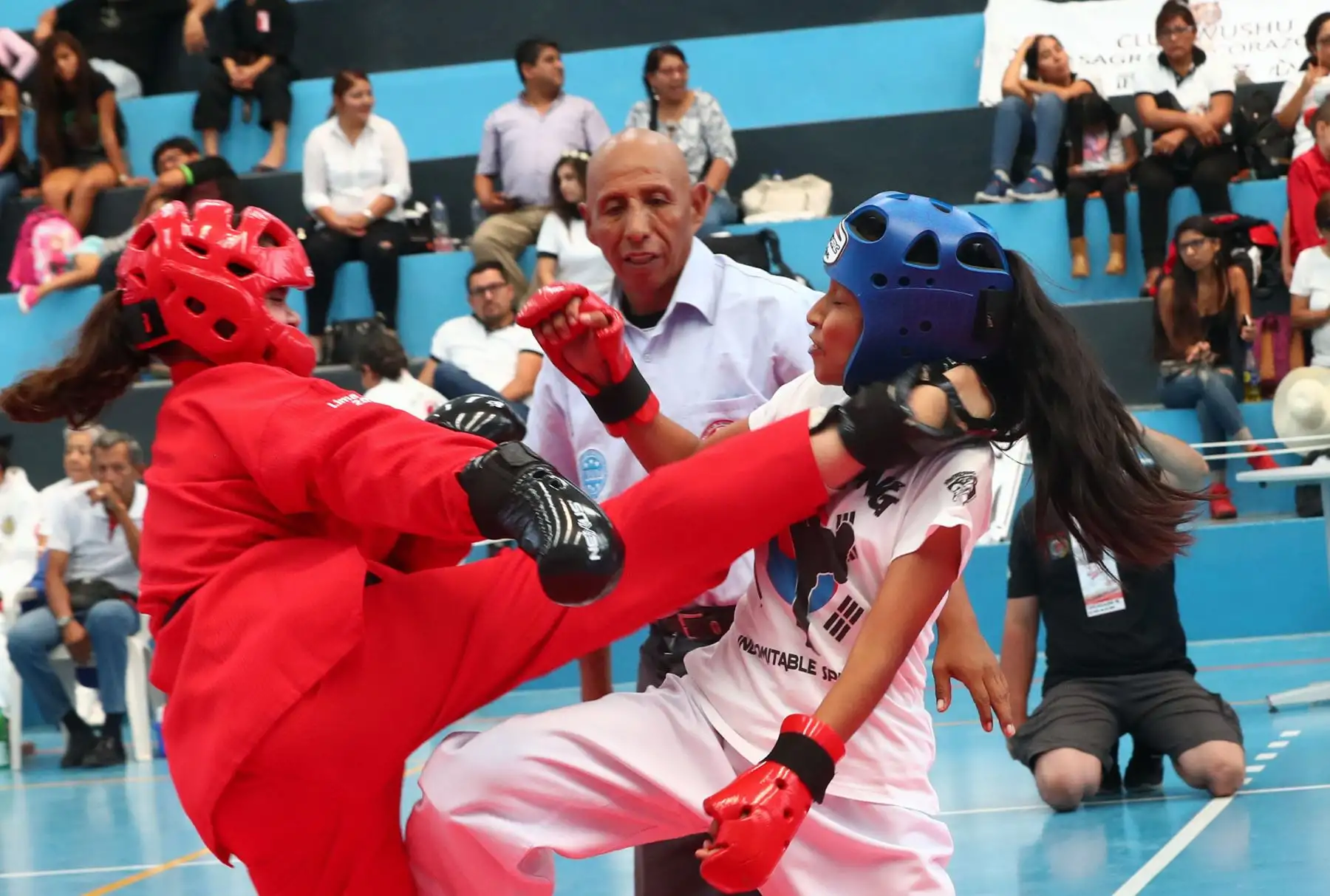 3er Campeonato Panamericano de Artes Marciales  OMAM .Foto: ANDINA/Norman Córdova