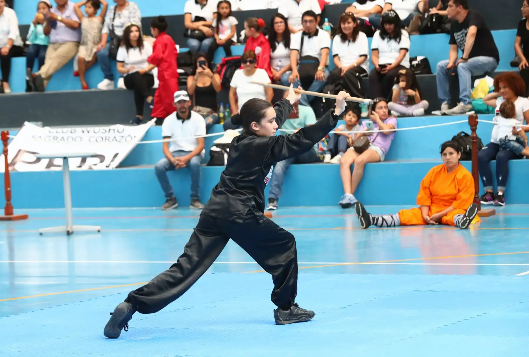 3er Campeonato Panamericano de Artes Marciales  OMAM .Foto: ANDINA/Norman Córdova