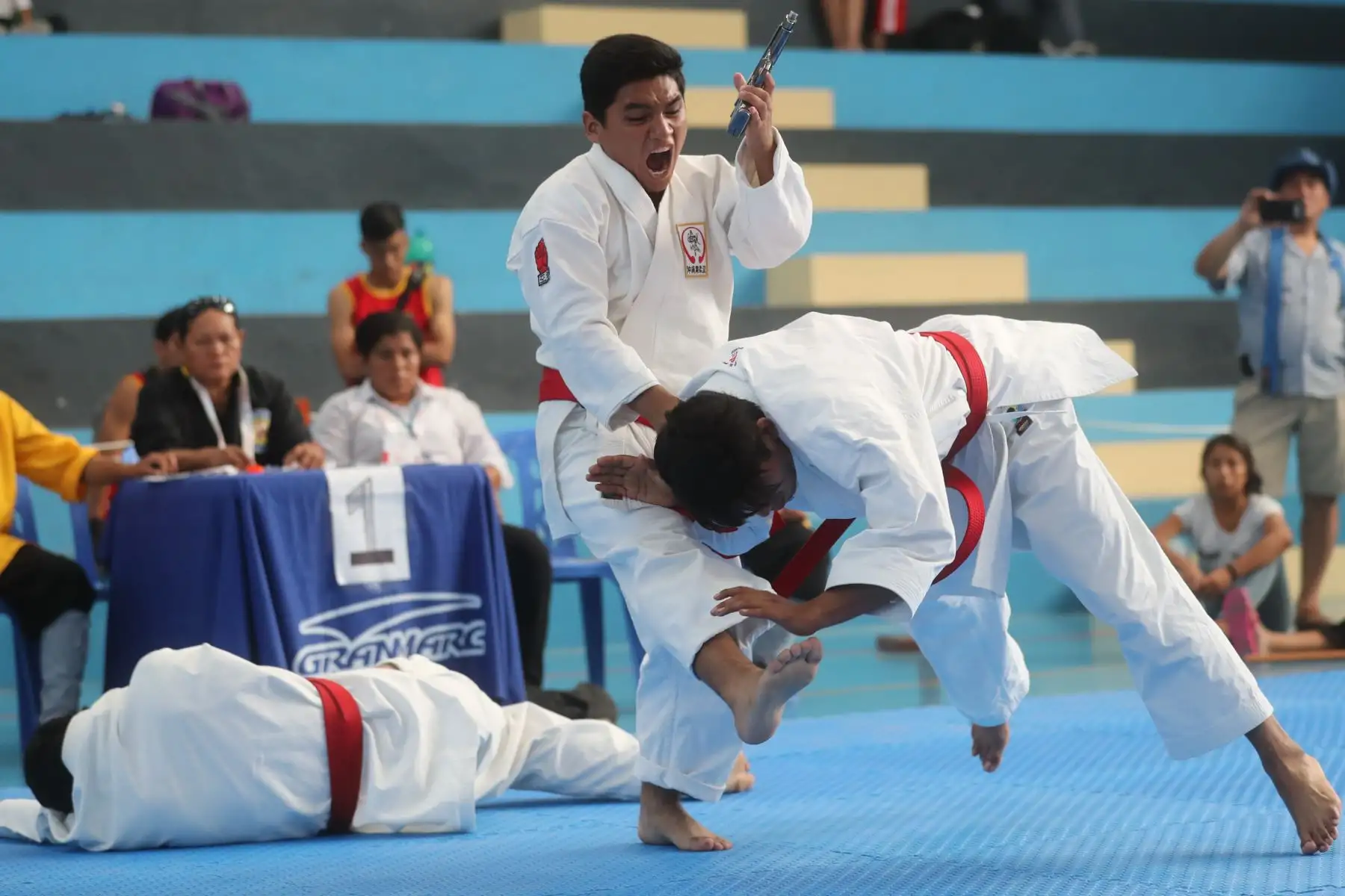 3er Campeonato Panamericano de Artes Marciales  OMAM .

Foto: ANDINA/Juan Carlos Guzmán Negrini