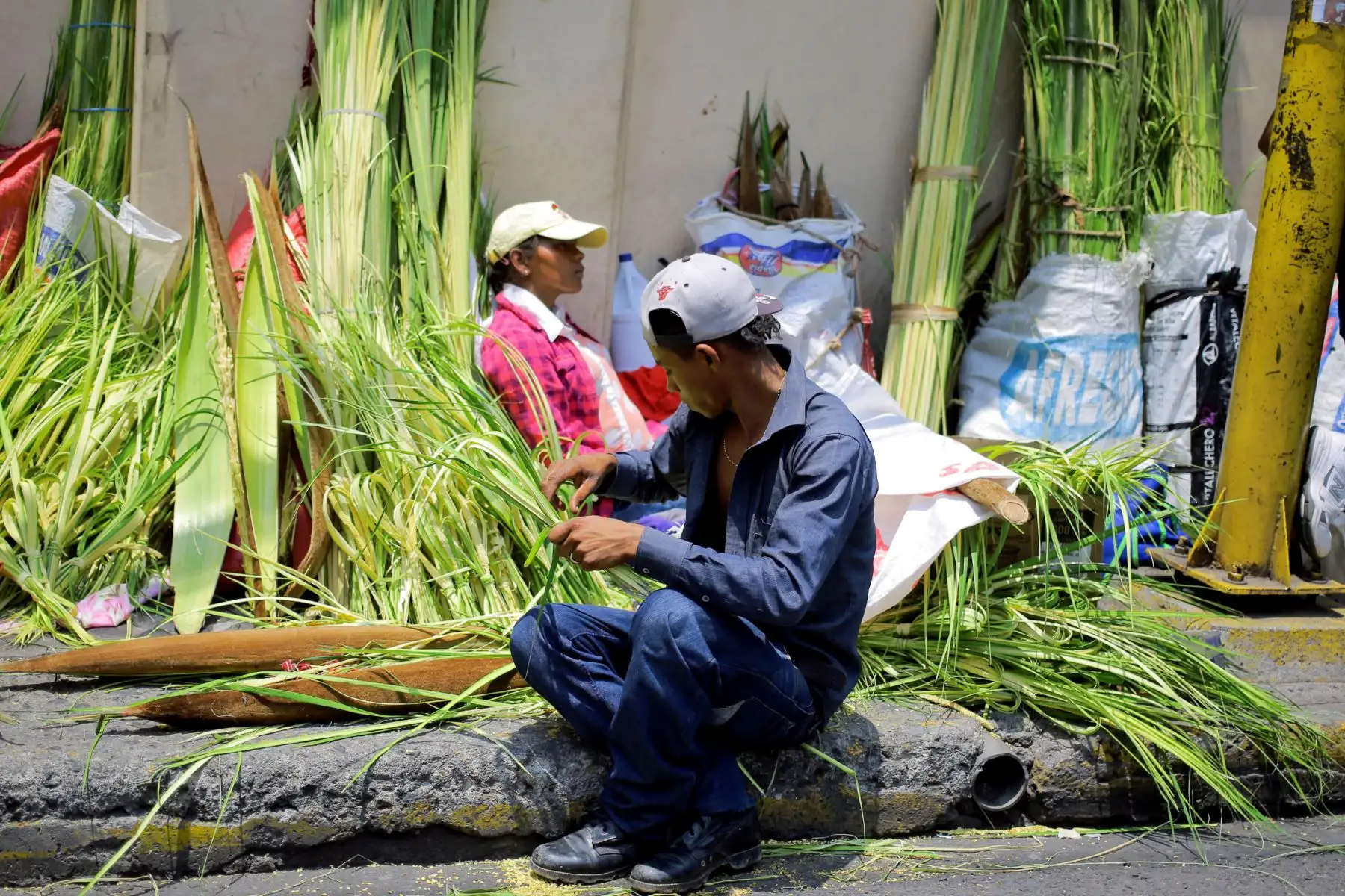 Campesinos venden ramos de palma para el tradicional Domingo de Ramos de la Semana Santa e en la Plaza Central de Tegucigalpa - Honduras.Foto:EFE