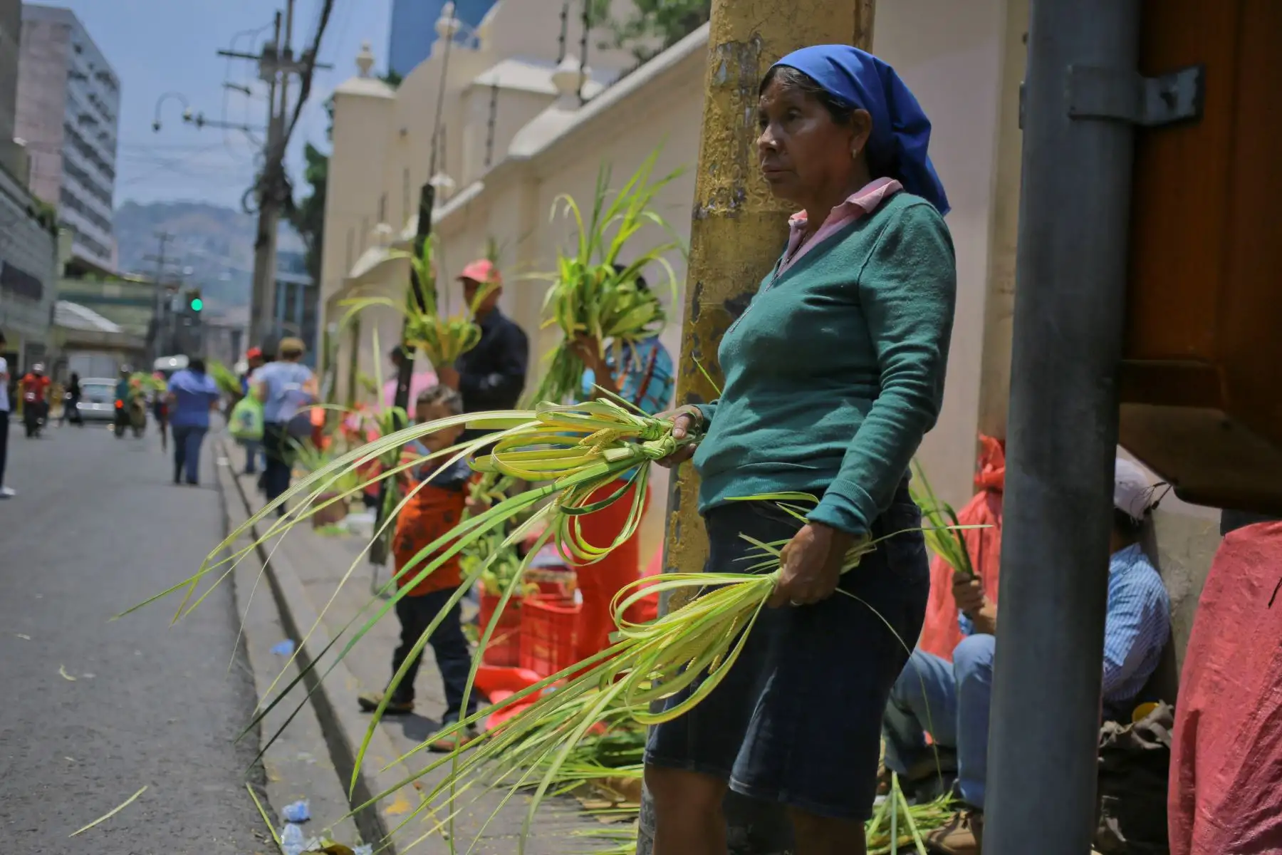 Campesinos venden ramos de palma para el tradicional Domingo de Ramos de la Semana Santa e en la Plaza Central de Tegucigalpa - Honduras.Foto:EFE