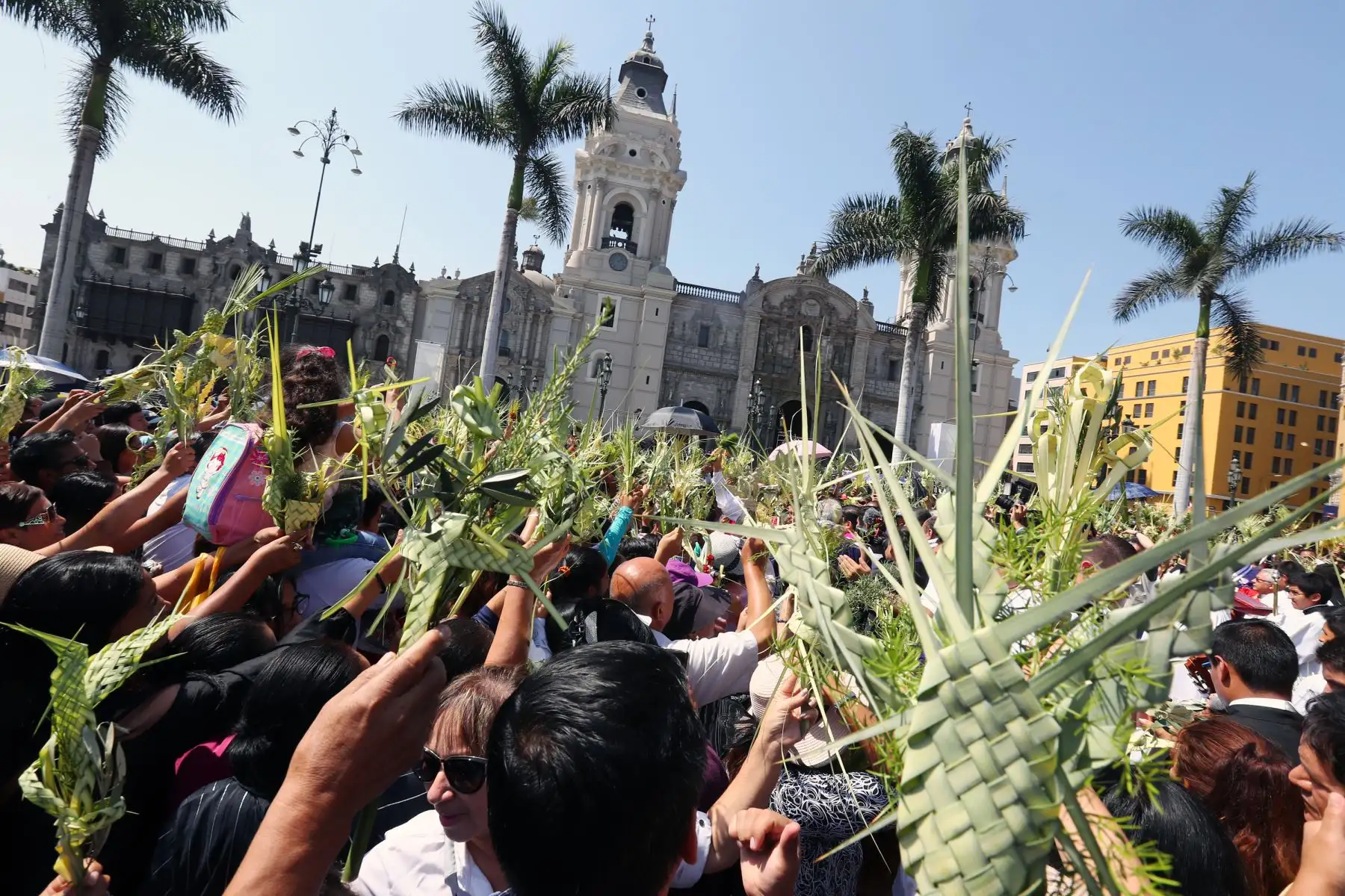Los devotos cristianos participan en la celebración del Domingo de Ramos en la Catedral de Lima. ,Foto: ANDINA/Norman Córdova