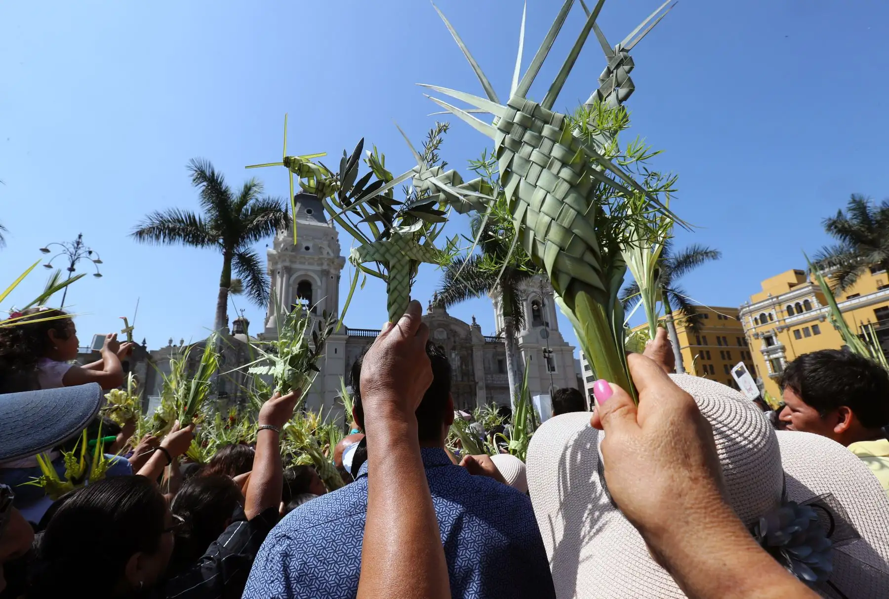 Los devotos cristianos participan en la celebración del Domingo de Ramos en la Catedral de Lima. ,Foto: ANDINA/Norman Córdova