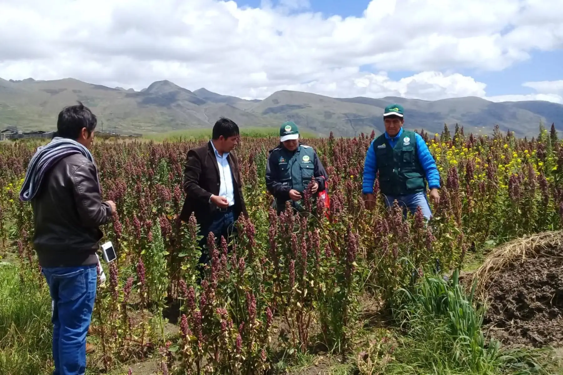 Brigadas del Ministerio de Agricultura evalúan el impacto de las heladas en el sector agropecuario de Apurímac. ANDINA/Difusión