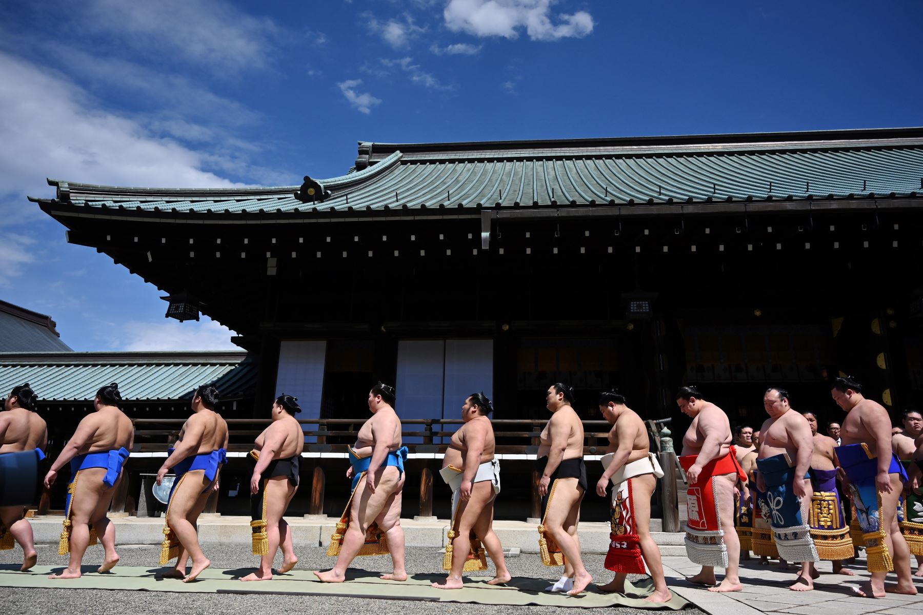 Los mejores luchadores de sumo participan en una exposición anual de un día para miles de espectadores dentro de los precintos del santuario Yasukuni en Tokio. Foto: AFP