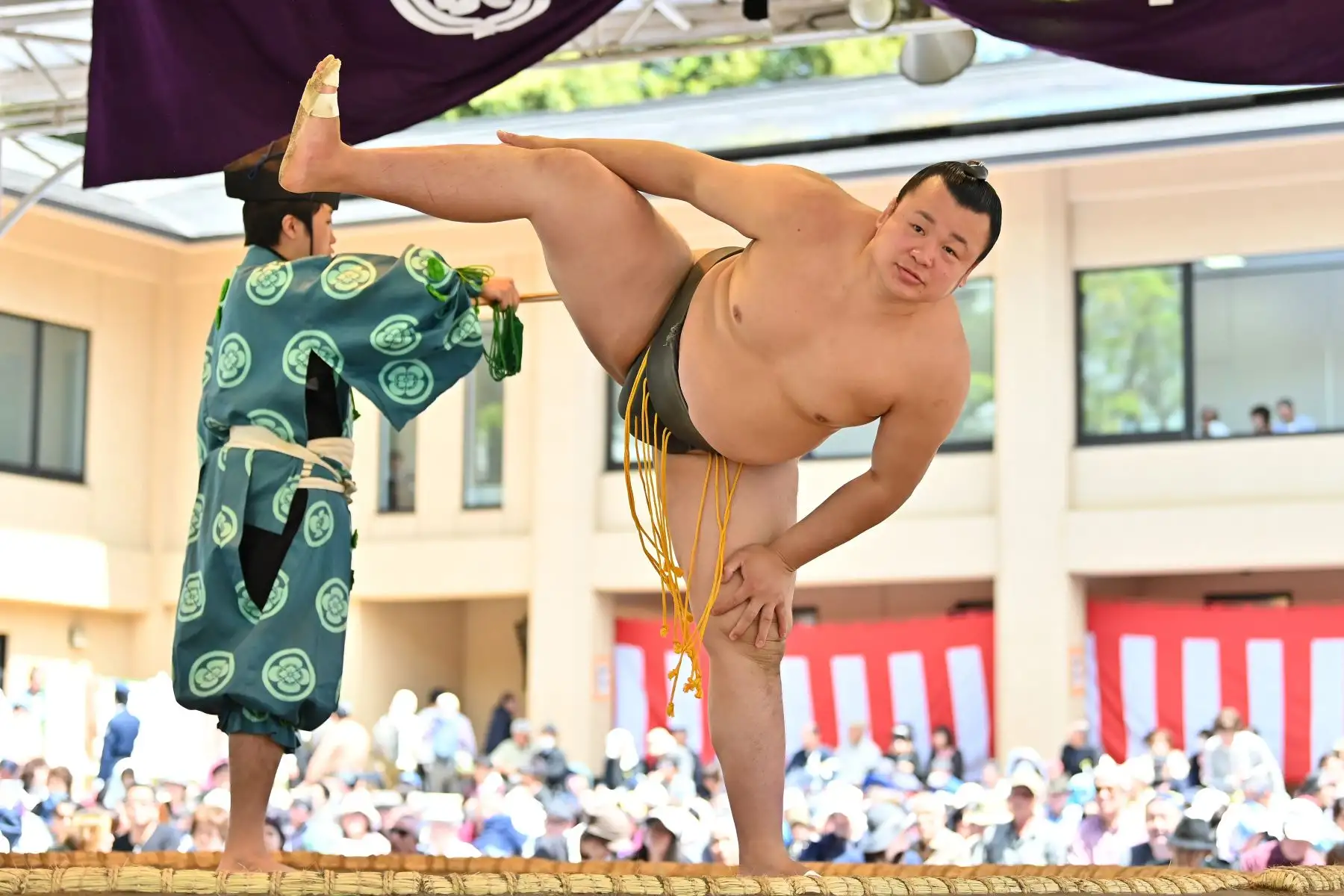 Los mejores luchadores de sumo participan en una exposición anual de un día para miles de espectadores dentro de los precintos del santuario Yasukuni en Tokio. Foto: AFP