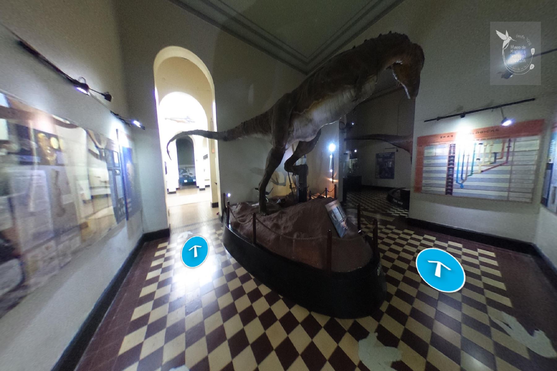 Visita virtual al Museo de Historia Natural UNMSM Foto: Difusión