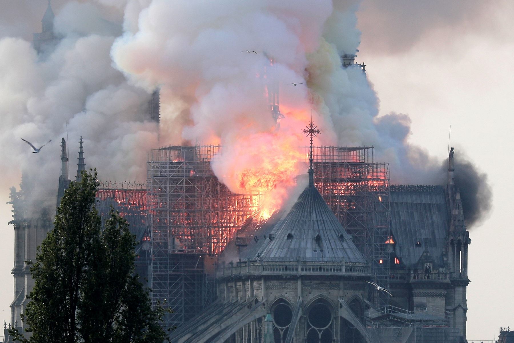 Incendio en Notre Dame Foto: EFE