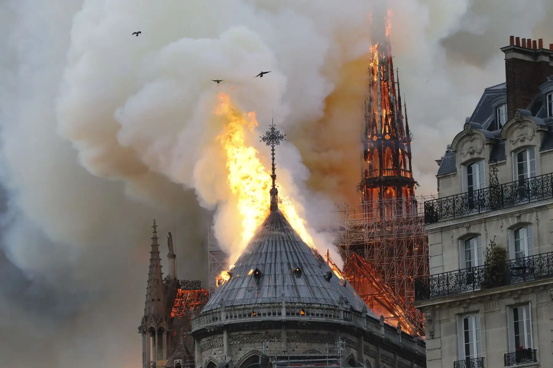 Se incendia la catedral de Notre Dame de París. Foto: AFP